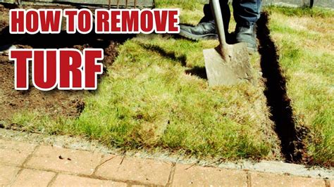 how to remove sod from yard